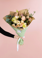 Charger l'image dans la galerie, Collection Aurore