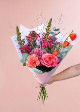 Charger l'image dans la galerie, Collection Sunset