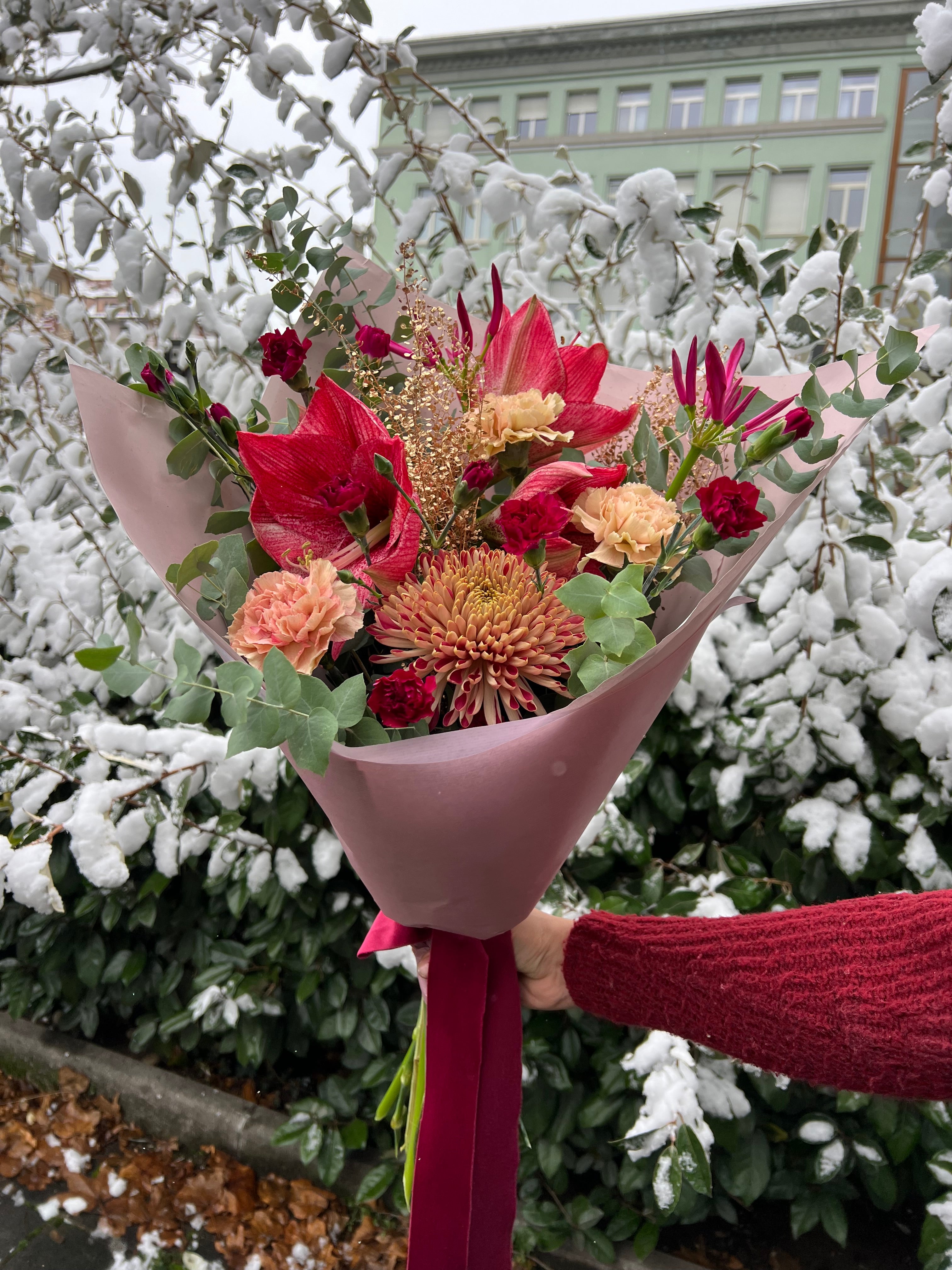 Collection Sucre d’orge